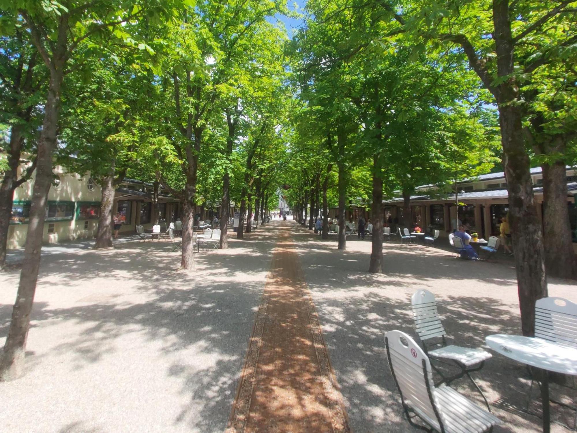 Gemuetliches J&L Apartment Nahe Des Hauptbahnhofes Baden-Baden Luaran gambar